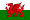 Flag_Wales